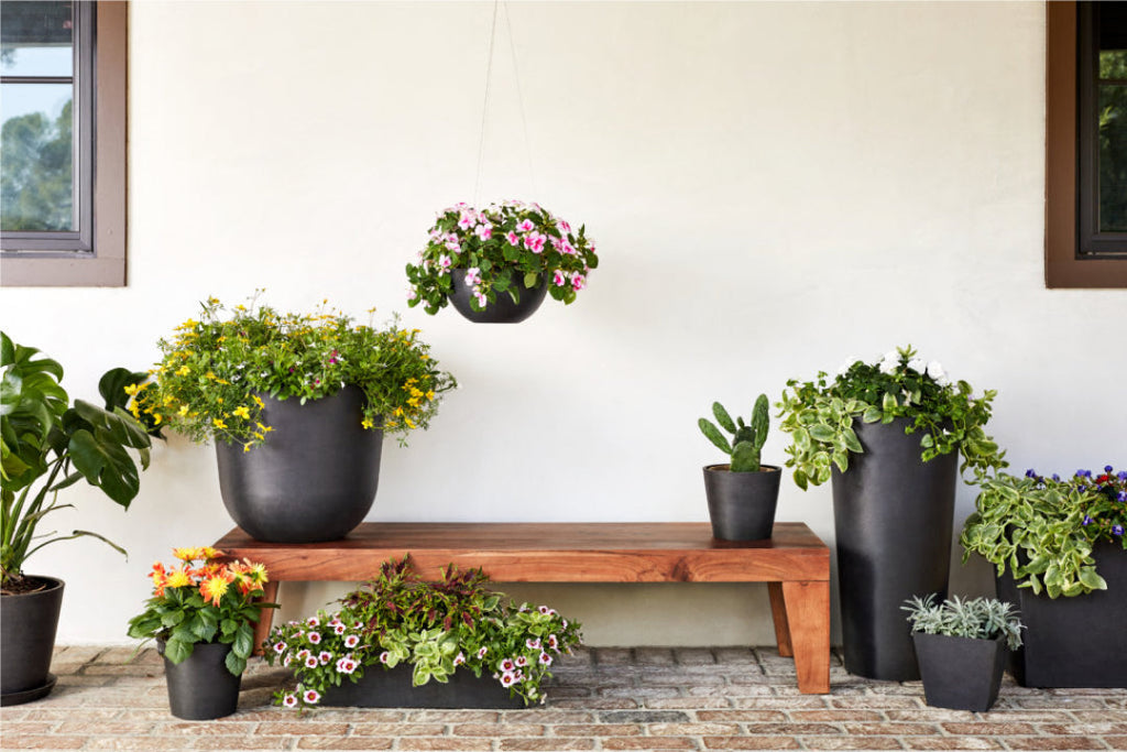 Caring for Accent Bloom Kits Outdoor