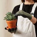 Essential Plant