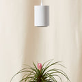 Grow Light